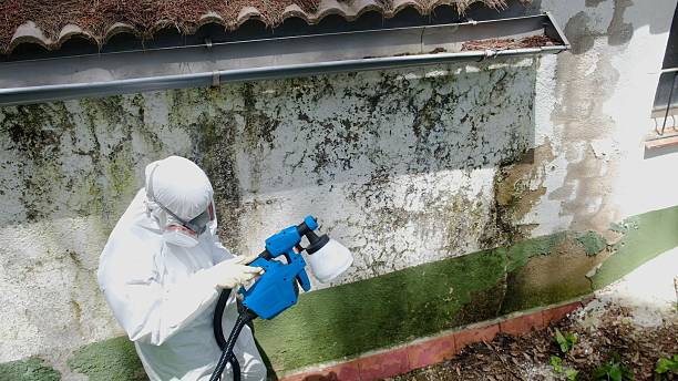 Trusted Mold Remediation service in Nashville, GA - Cheap Mold Removal